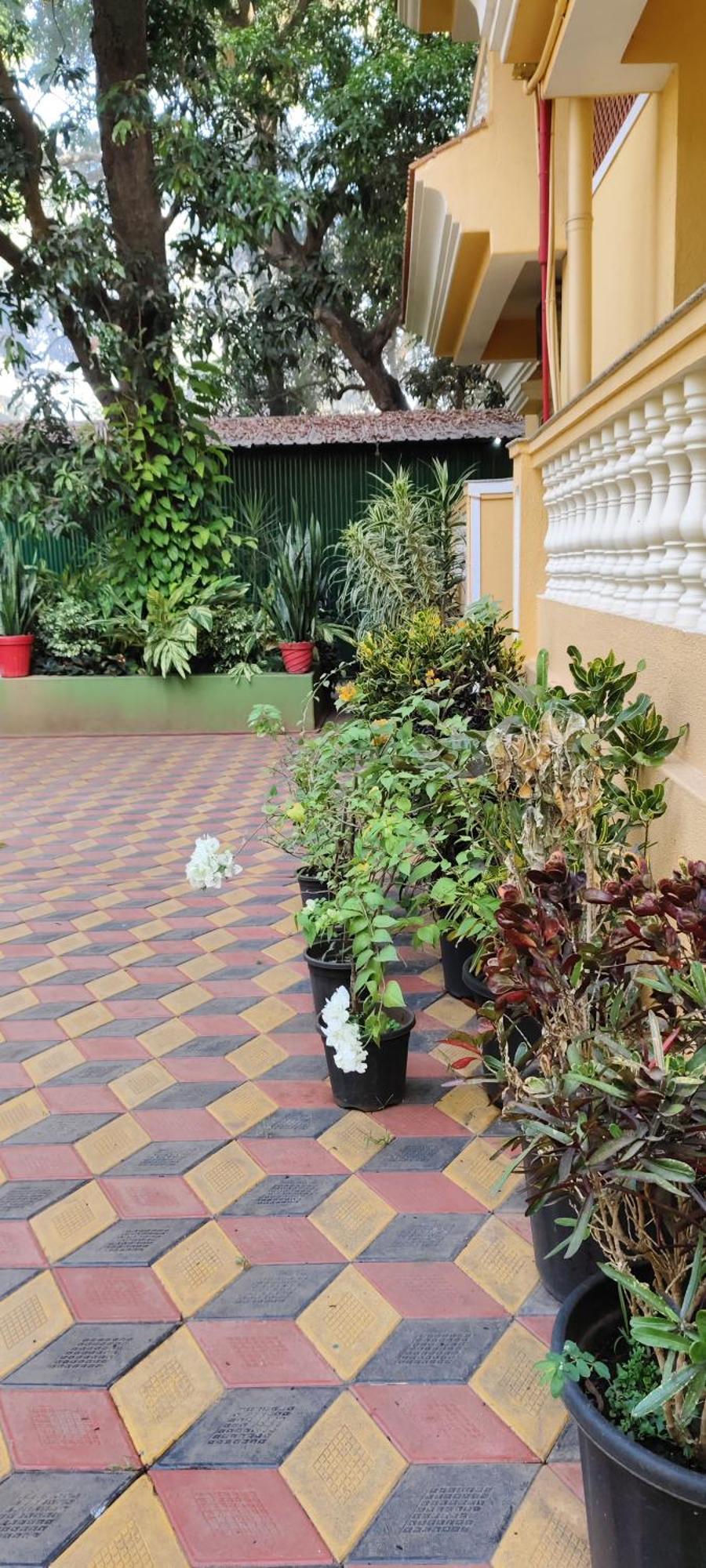 Ena Holiday Inn Calangute Zewnętrze zdjęcie
